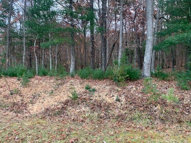 Lot 4 Courtney Lane, Blairsville, GA 30512