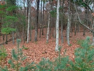 Lot 4 Courtney Lane, Blairsville, GA 30512