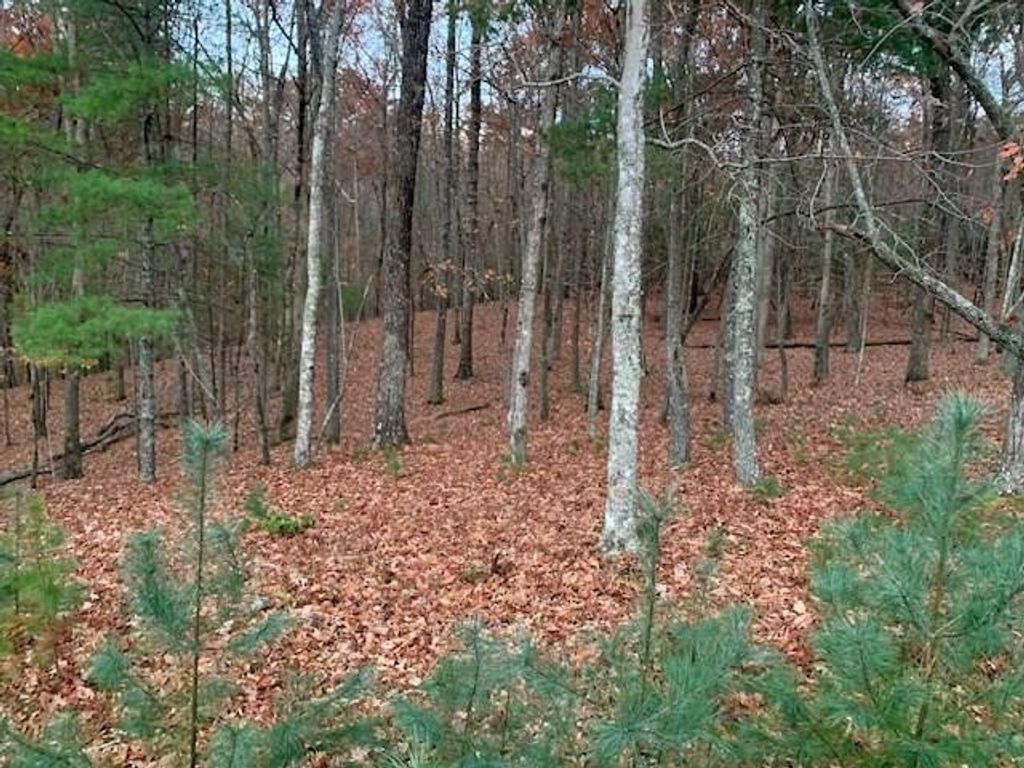 Lot 4 Courtney Lane, Blairsville, GA 30512