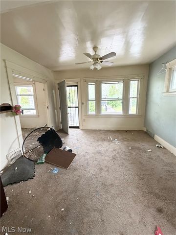 10309 Parkview Avenue, Cleveland, OH 44104