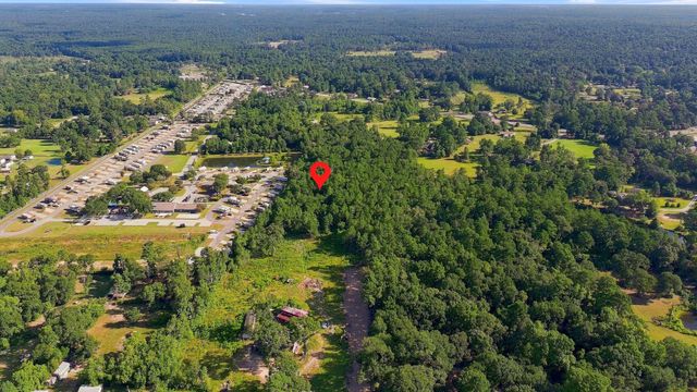 0 Dewberry Lane, Conroe, TX 77302