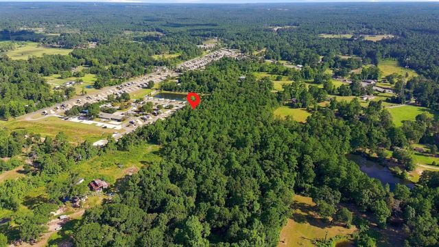 0 Dewberry Lane, Conroe, TX 77302