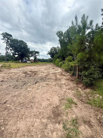 0 Dewberry Lane, Conroe, TX 77302