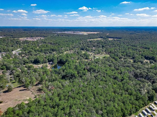 0 Dewberry Lane, Conroe, TX 77302
