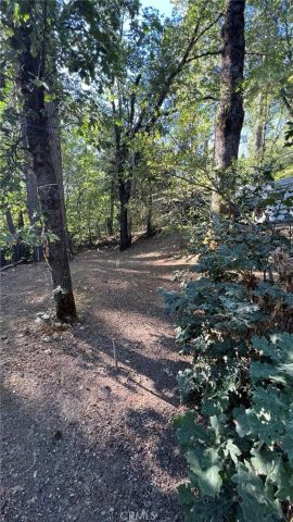 10537 Foothill Road, Loch Lomond, CA 95461