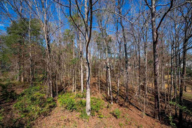 6 Gidding Ct, Irmo, SC 29063