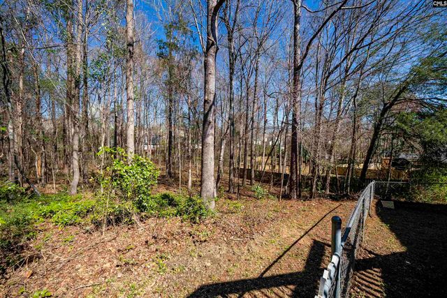 6 Gidding Ct, Irmo, SC 29063