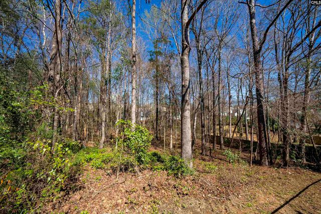 6 Gidding Ct, Irmo, SC 29063