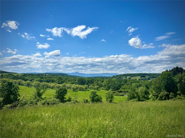 2727 County Route 8, Elizaville, NY 12523