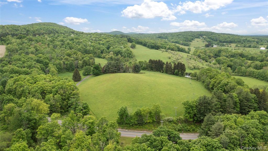 2727 County Route 8, Elizaville, NY 12523