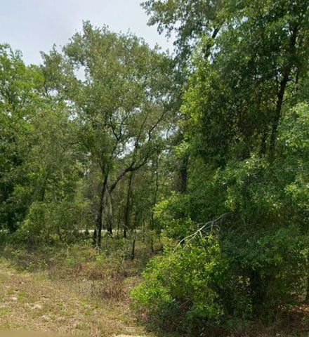 00 NW HIGHVIEW AVENUE, Dunnellon, FL 34431