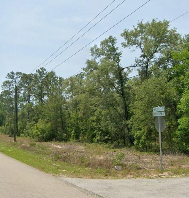 00 NW HIGHVIEW AVENUE, Dunnellon, FL 34431