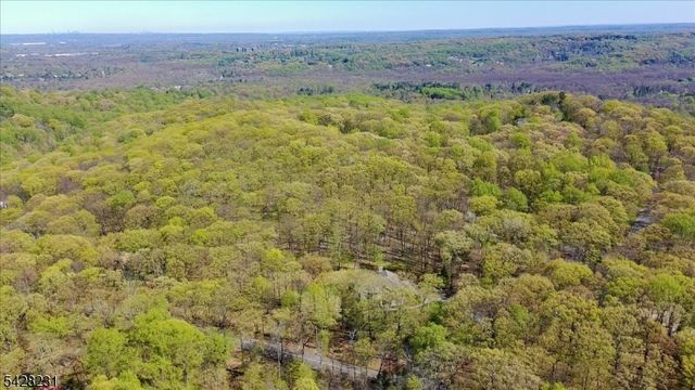 8 Mount Pleasant Rd, Mendham Twp., NJ 07960