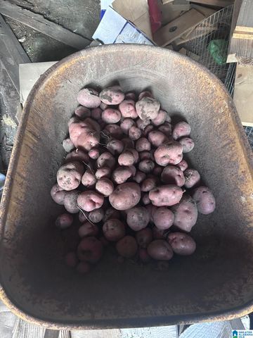 397 AVON CIRCLE, Mount Olive, AL 35117