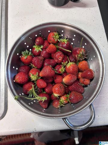 397 AVON CIRCLE, Mount Olive, AL 35117