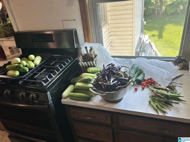 397 AVON CIRCLE, Mount Olive, AL 35117