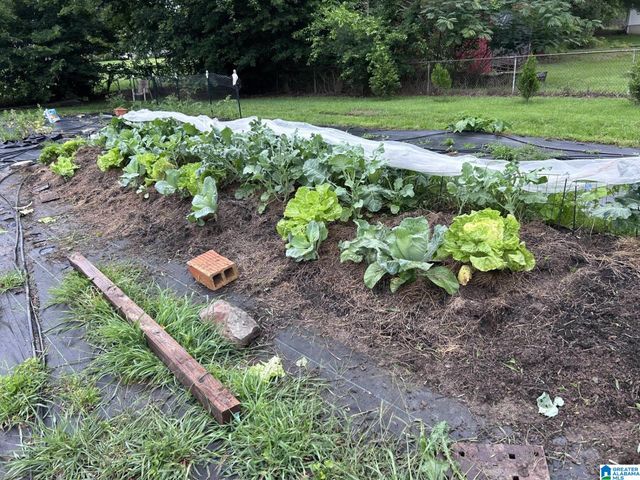 397 AVON CIRCLE, Mount Olive, AL 35117