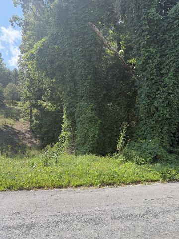 0 Taylor Hensen Road, Murphy, NC 28906