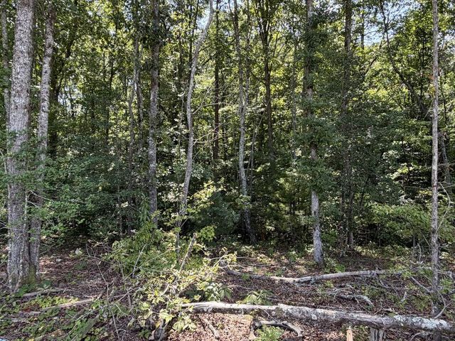 0 Taylor Hensen Road, Murphy, NC 28906