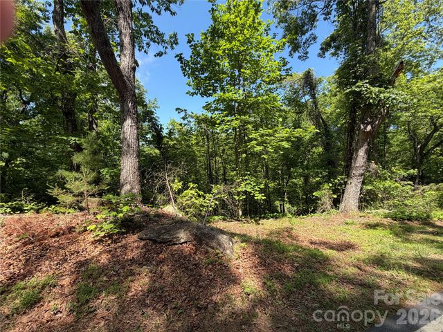 0 Buffalo Shoals Road 1, Lake Lure, NC 28746