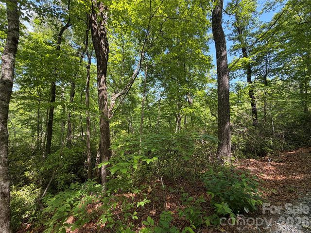 0 Buffalo Shoals Road 1, Lake Lure, NC 28746