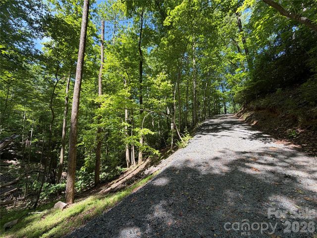 0 Buffalo Shoals Road 1, Lake Lure, NC 28746