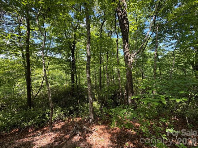 0 Buffalo Shoals Road 1, Lake Lure, NC 28746