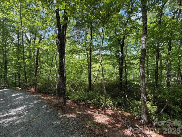 0 Buffalo Shoals Road 1, Lake Lure, NC 28746