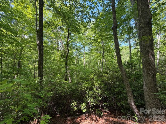 0 Buffalo Shoals Road 1, Lake Lure, NC 28746