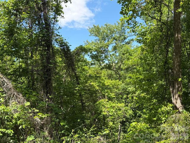 0 Buffalo Shoals Road 1, Lake Lure, NC 28746
