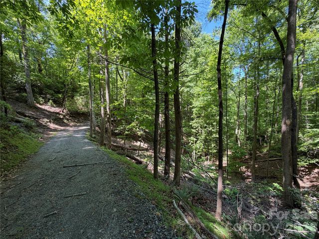 0 Buffalo Shoals Road 1, Lake Lure, NC 28746