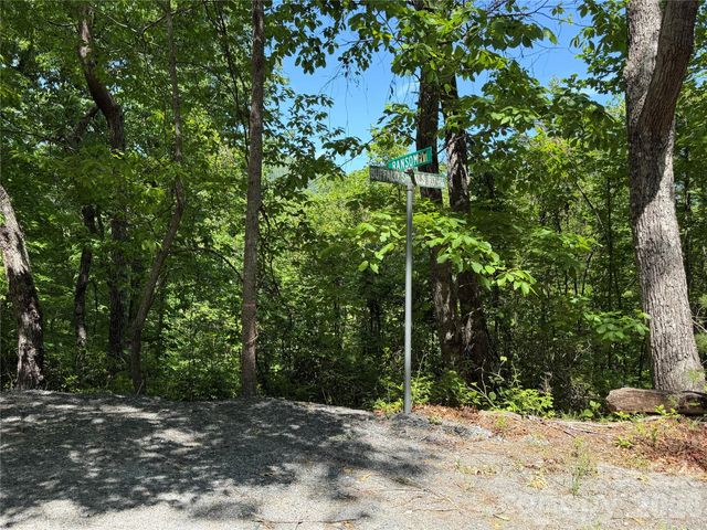 0 Buffalo Shoals Road 1, Lake Lure, NC 28746