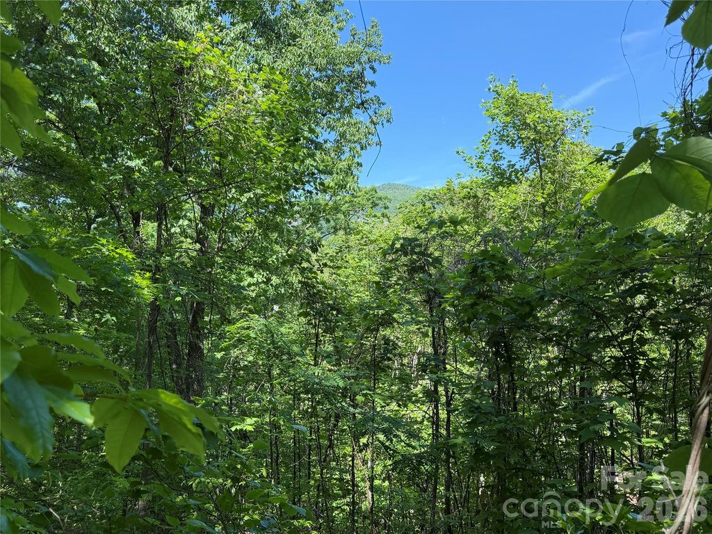 0 Buffalo Shoals Road 1, Lake Lure, NC 28746