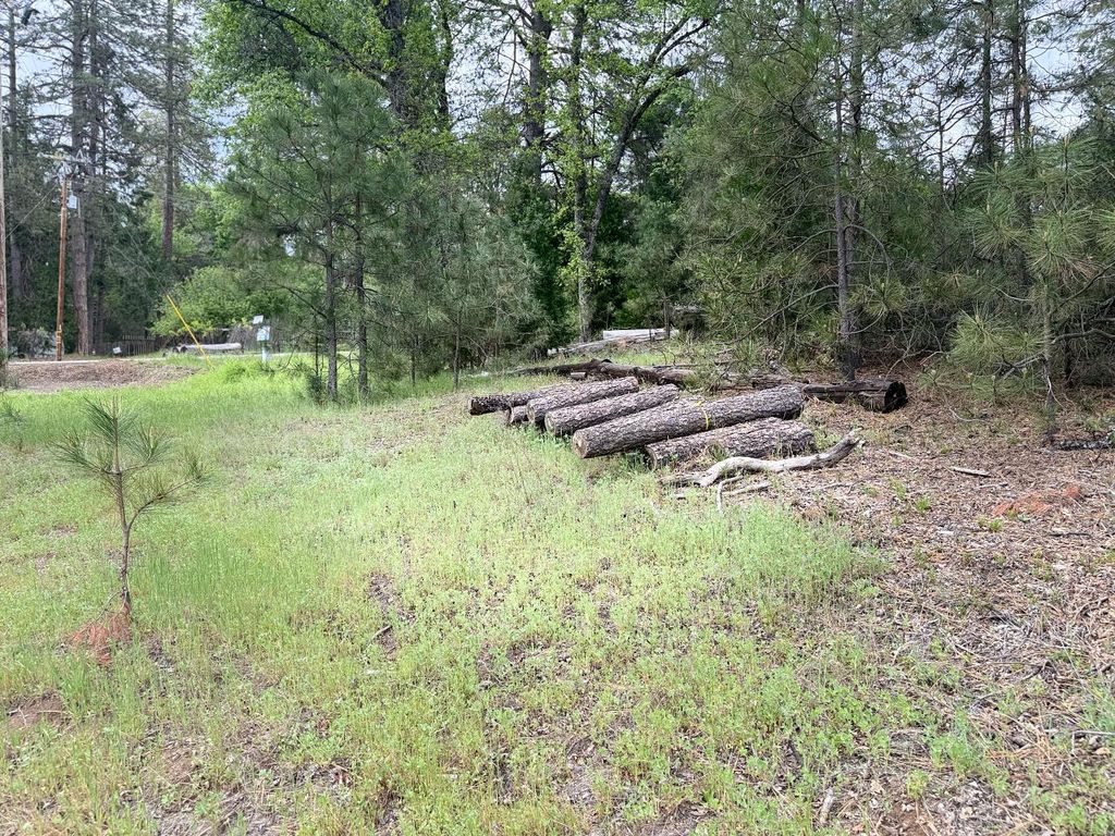 Image 10 of property listing at 65 Harris Road, Mariposa, CA 95338