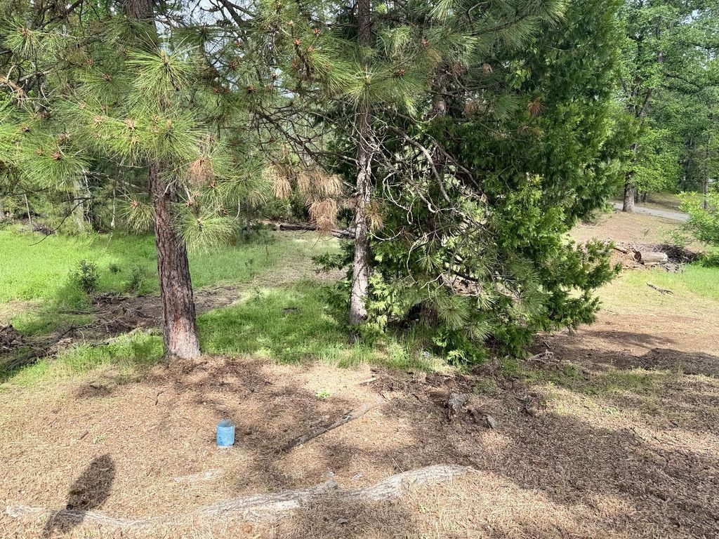 Image 13 of property listing at 65 Harris Road, Mariposa, CA 95338