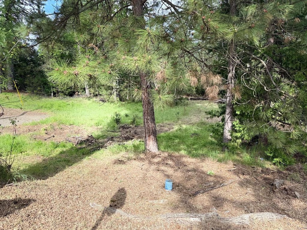 Image 14 of property listing at 65 Harris Road, Mariposa, CA 95338
