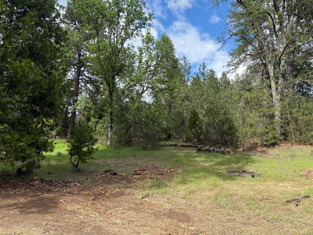 Image 18 of property listing at 65 Harris Road, Mariposa, CA 95338