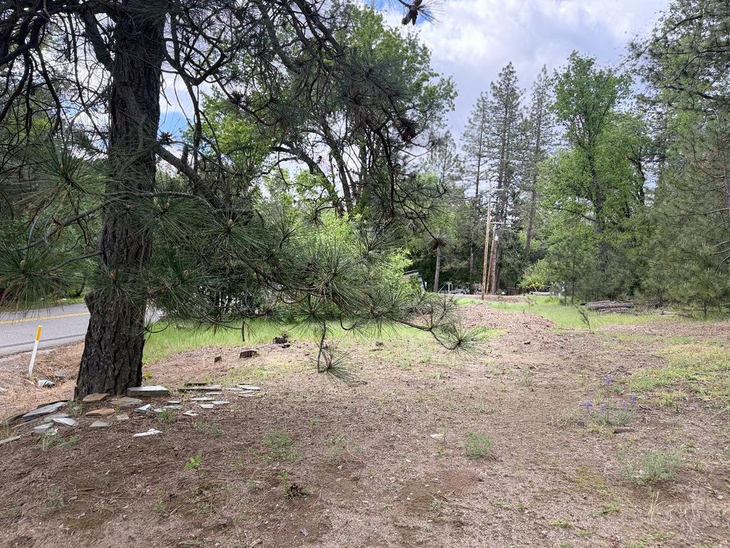 Image 3 of property listing at 65 Harris Road, Mariposa, CA 95338
