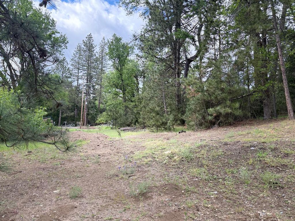 Image 4 of property listing at 65 Harris Road, Mariposa, CA 95338