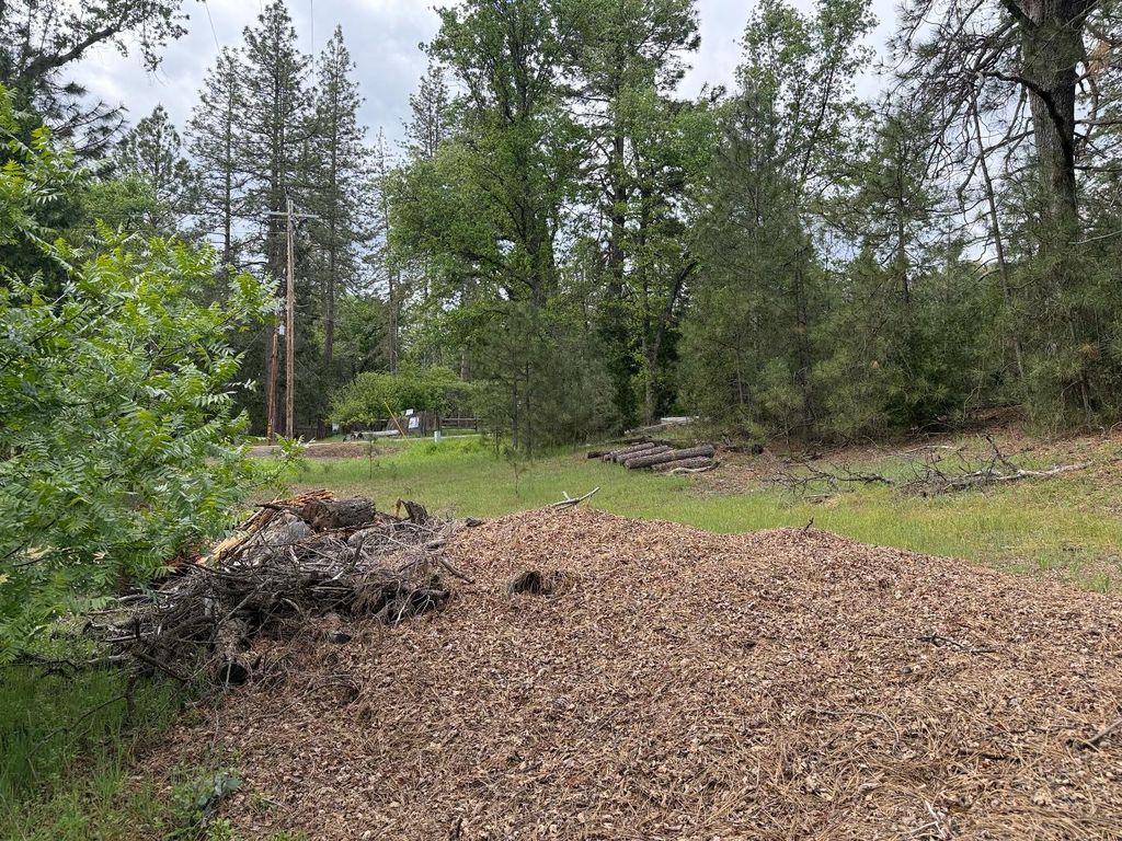 Image 5 of property listing at 65 Harris Road, Mariposa, CA 95338