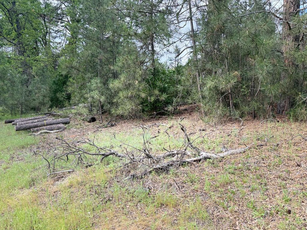 Image 8 of property listing at 65 Harris Road, Mariposa, CA 95338
