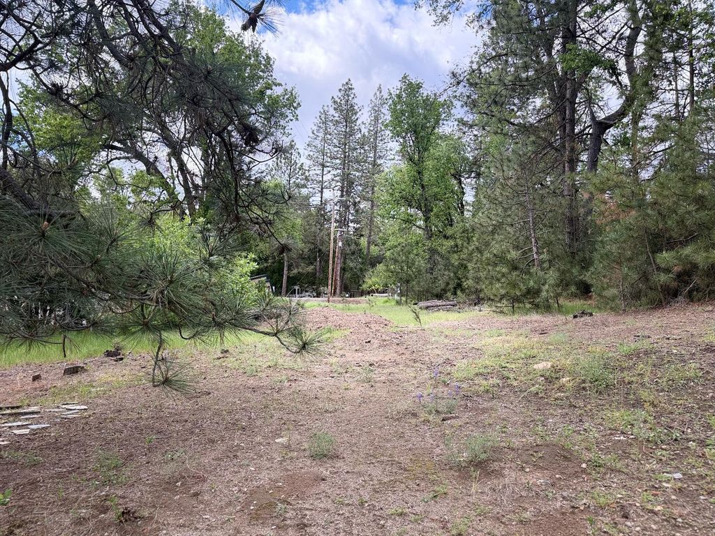 Image 9 of property listing at 65 Harris Road, Mariposa, CA 95338