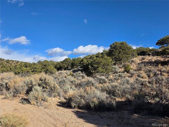 0 Austin Rd, Fort Garland, CO 81133