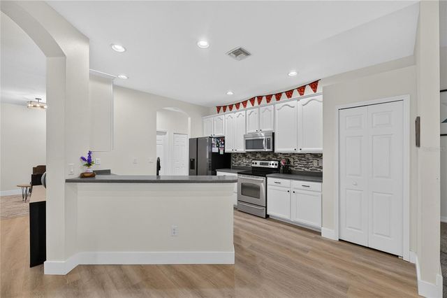 1438 EMERALD HILL WAY, Valrico, FL 33594