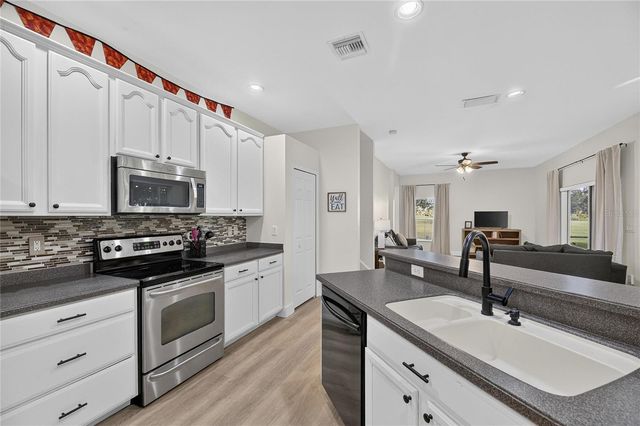 1438 EMERALD HILL WAY, Valrico, FL 33594