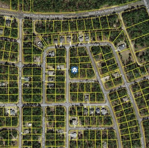 647 W TULIP LANE, Citrus Springs, FL 34434