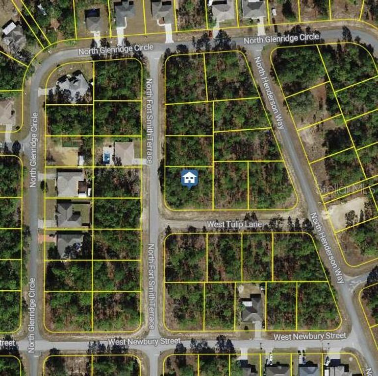 647 W TULIP LANE, Citrus Springs, FL 34434