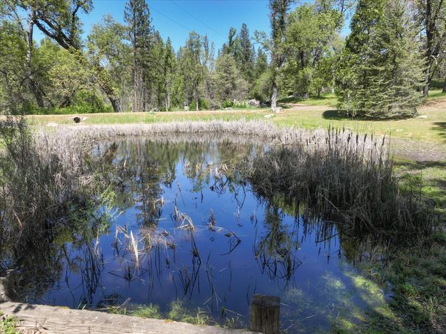37733 Black Ranch Rd, Oakhurst, CA 93644