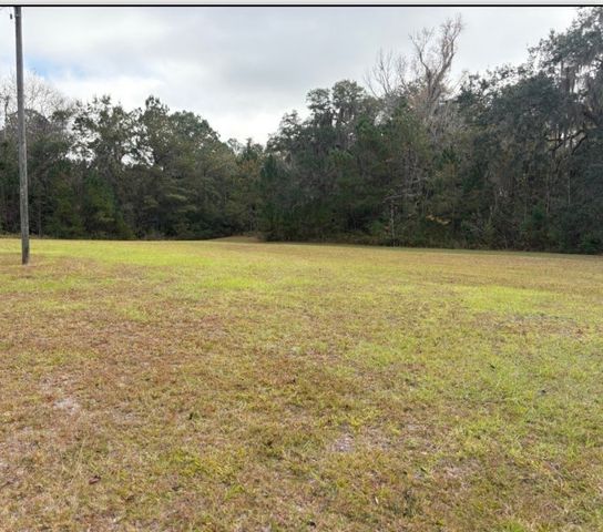 11817 GA HIGHWAY 99 Highway, Darien, GA 31305