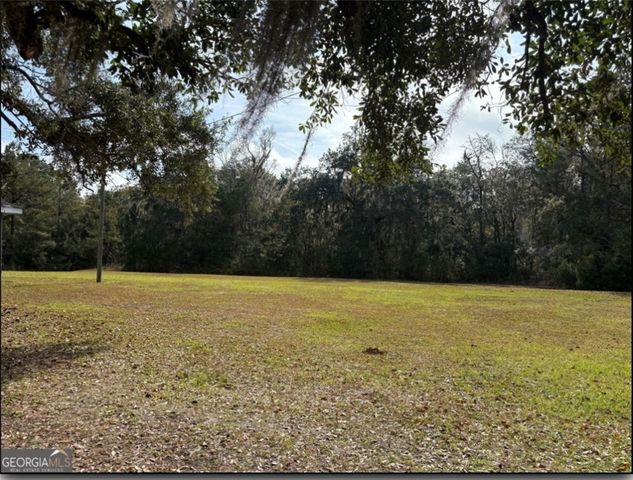 11817 GA HIGHWAY 99 Highway, Darien, GA 31305